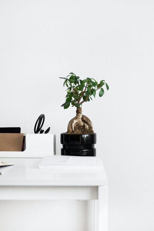 How to Create a Peaceful and Organised Home Workspace